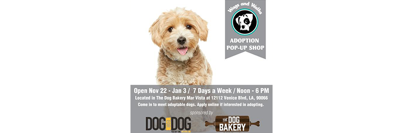 Dog bakery shop venice