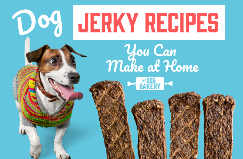 Pet greens jerky sales squares