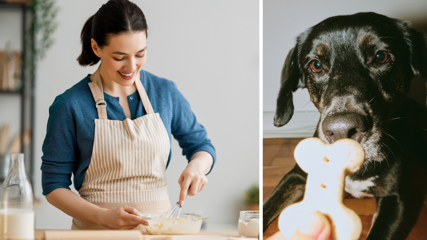 A Dog Sitter’s Guide to Baking Yummy Treats