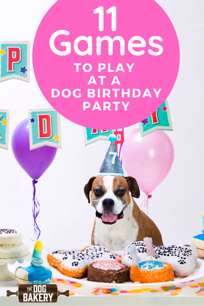 11 Doggie Themed Birthday Party Games Idea – The Dog Bakery