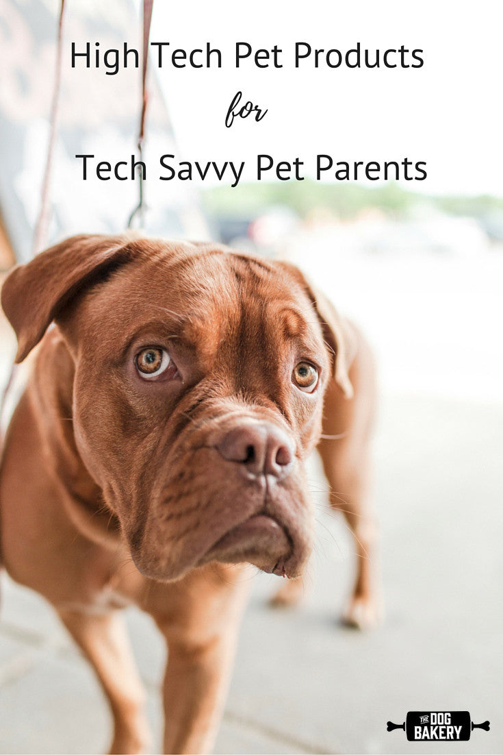 High Tech Pet Products