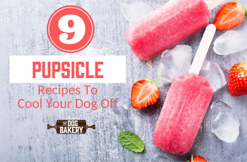 Healthy Popsicle Recipes for Your Dog – Sweet and Spicy Monkey