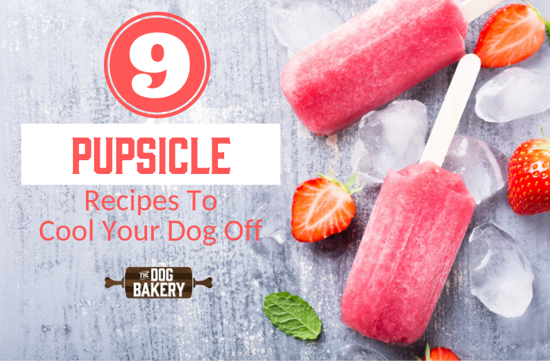 21 Recipes for Pupsicles {Yep, Popsicles for Dogs!}