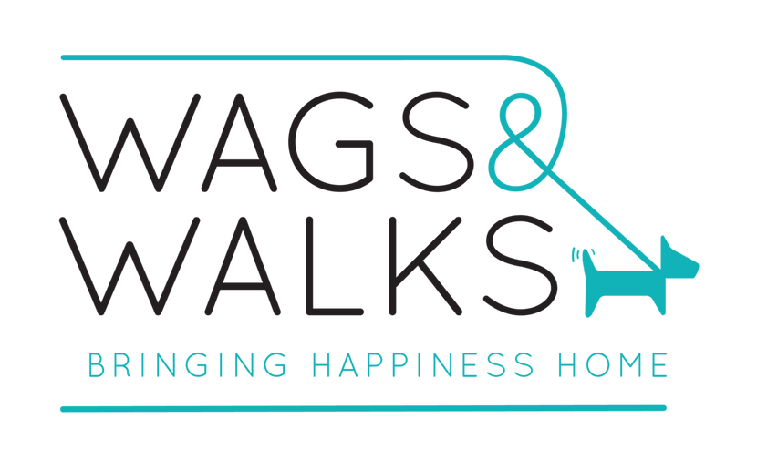 6 Tips for Adopting the Right Match from Wags & Walks