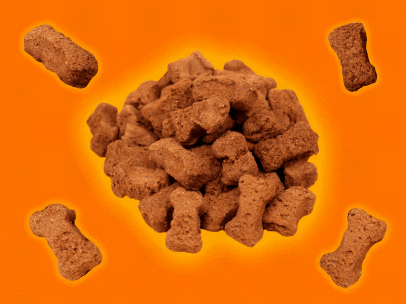 Mini Pumpkin Bones