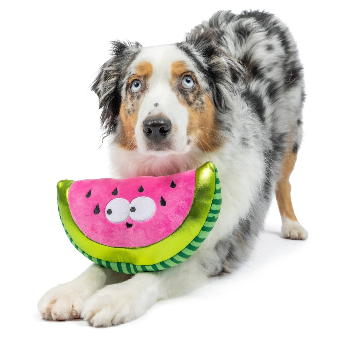 Watermelon Plush Toy