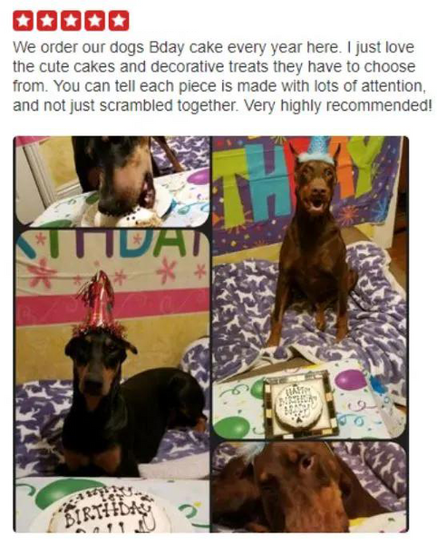 this customer loved her birthday cake for dogs
