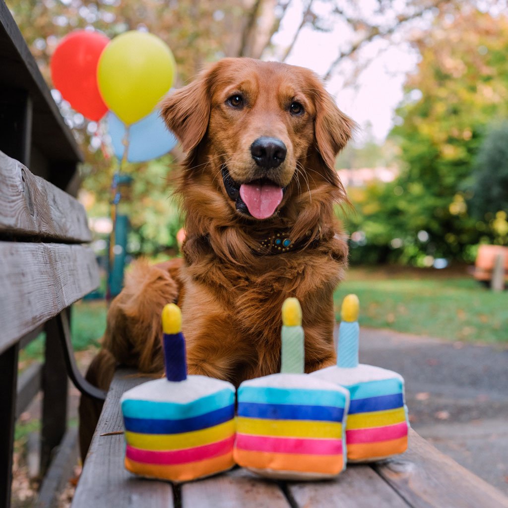 Birthday Cake 3 Slice Toy