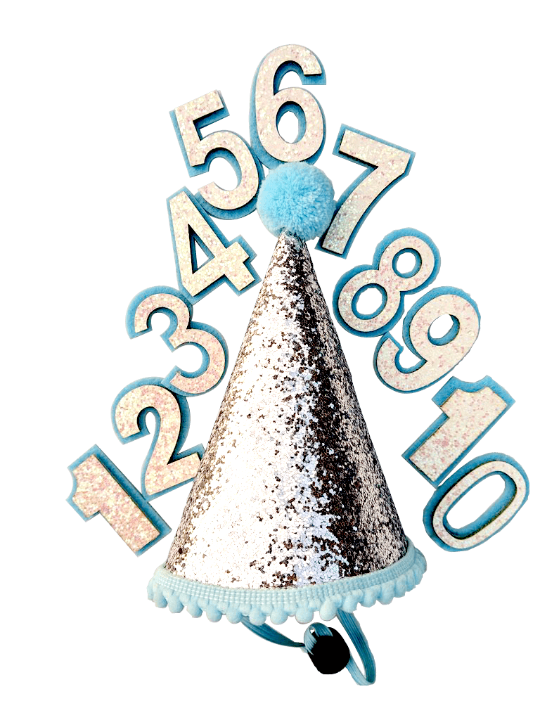 Birthday Party Hat For Dogs