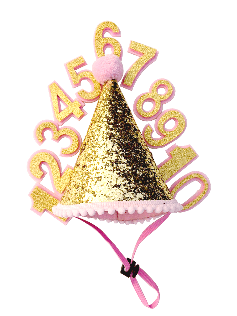 Birthday Party Hat For Dogs