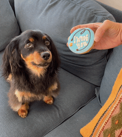 BARKyard Dog Cookies