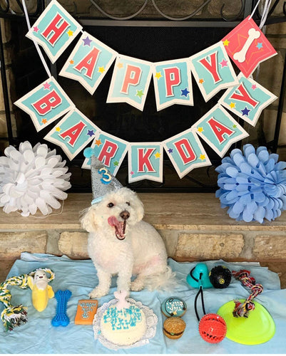 {"alt"=>"Dog Birthday Banner"}