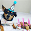 Birthday Party Hat For Dogs