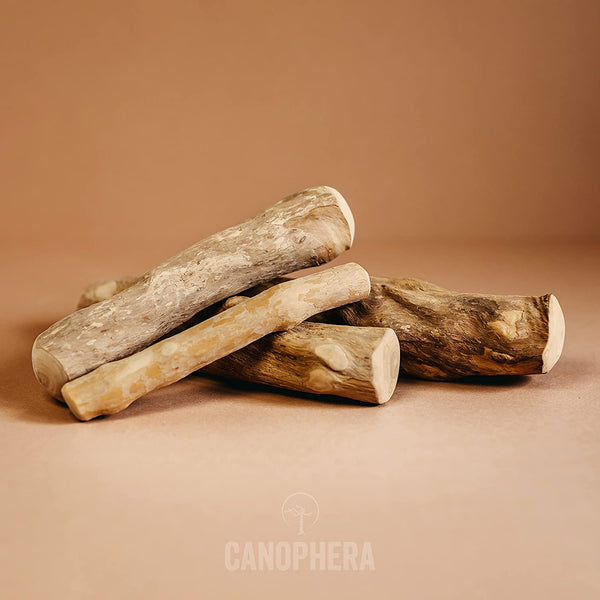 Coffee Wood Dog Chew Sticks The Dog Bakery