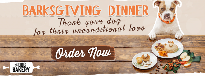 Recipes for a Safe & Healthy Thanksgiving Dinner for Your Dog