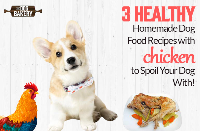 Homemade Dog Food Recipes With Chicken