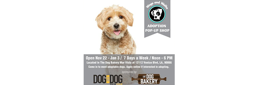 Wags and Walks Adoption Pop Up Shop at Our Venice Bakery!