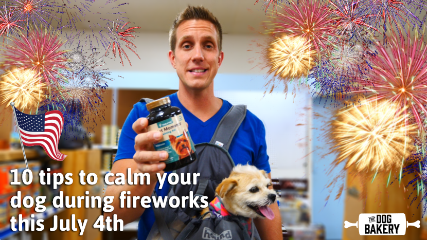 10 tips to calm your dog during fireworks this July 4th