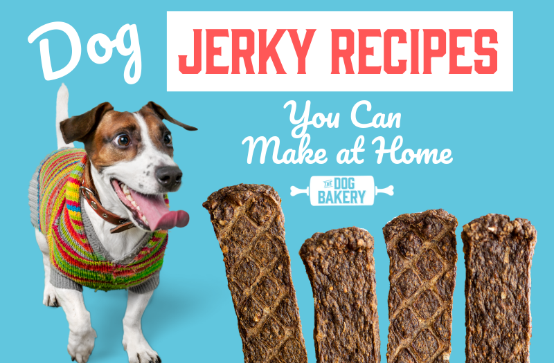 3 Dog Jerky Recipes You Can Make At Home