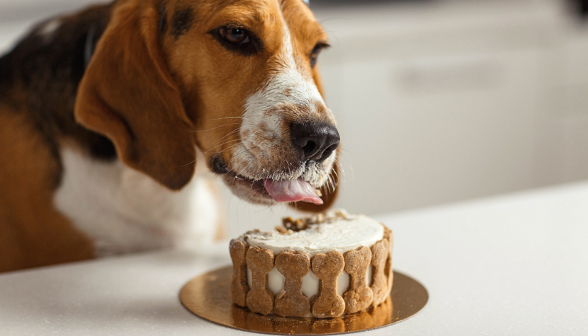 3-Ingredient Cakes To Make For Your Dog