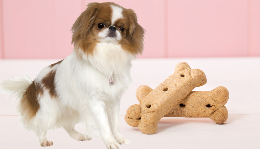 3 Easy Hypoallergenic Dog Treat Recipes You Can Make At Home!