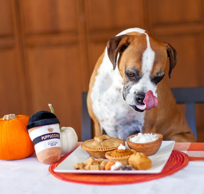 Thanksgiving Table Scraps... What's Safe (& not safe) To Give My Dog