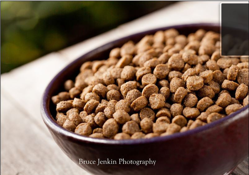 No Wheat Dog Food: Why Pet Owners Spend Big