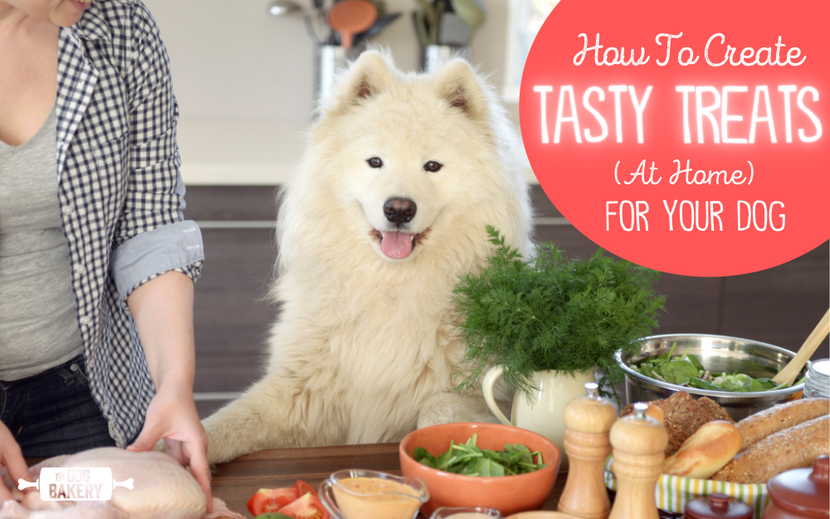 How To Create Tasty Treats At Home For Your Dog