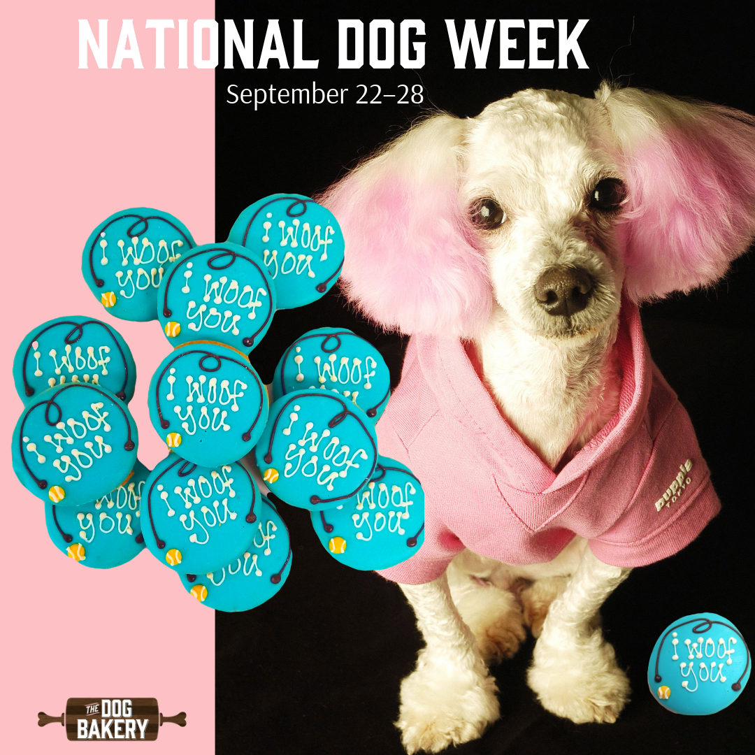 National Dog Week – The Dog Bakery