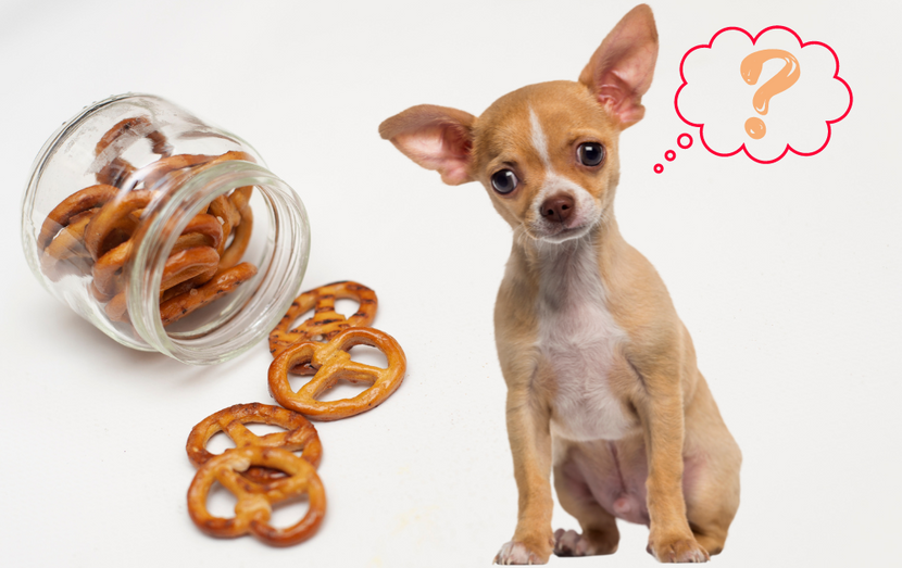Can Dogs Eat Pretzels as a Treat?
