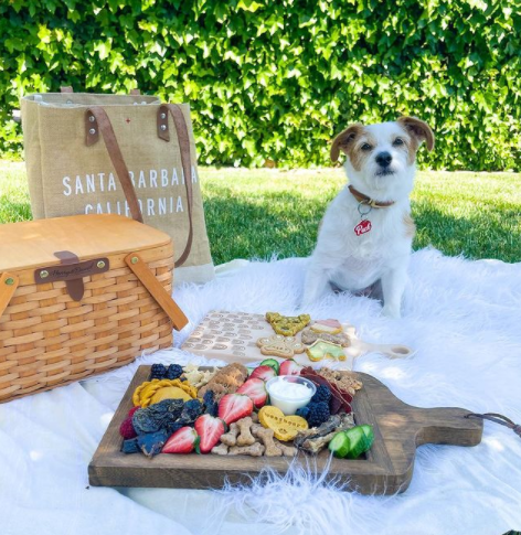 How to Make a Barkuterie Board for Your Pup