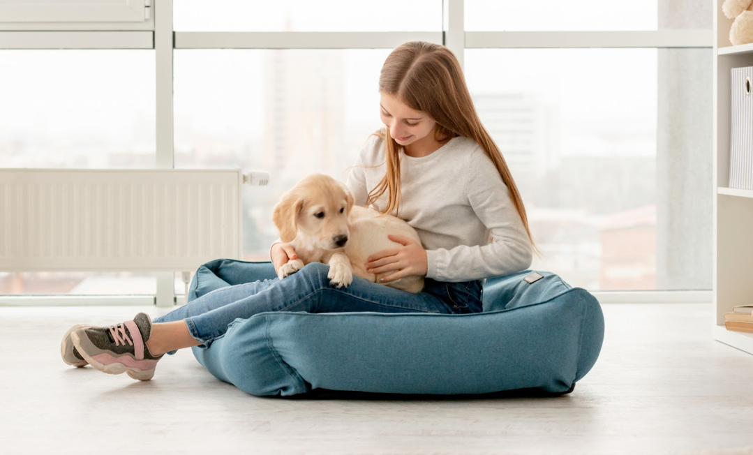 7 Easy Ways to Create a Pet-Friendly Home—Without Sacrificing Style