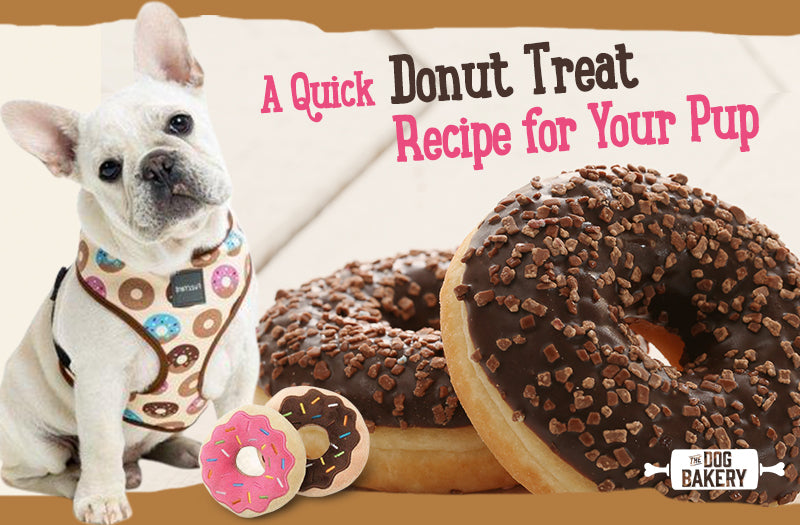 A Quick Donut Treat Recipe for Your Pup