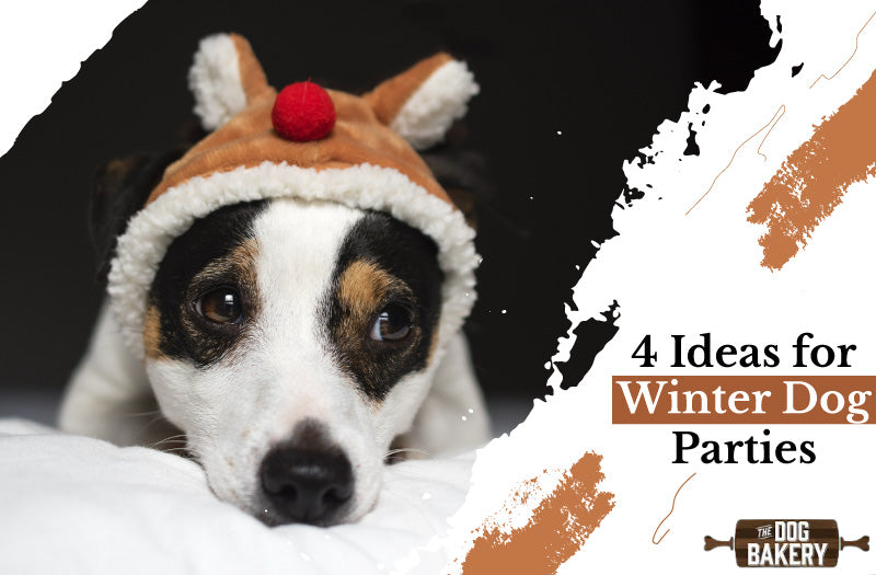 4 Ideas for Winter Dog Parties