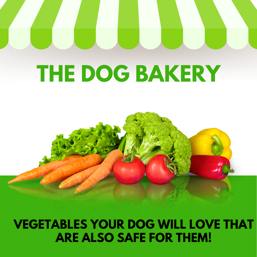Blog posts Vegetables Your Dog Will Love That Are Also Safe for Them