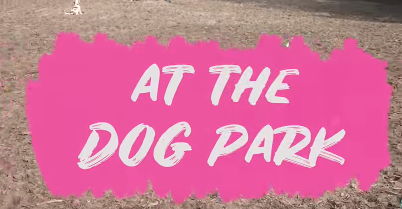 10 Do's and Don'ts at the Dog Park