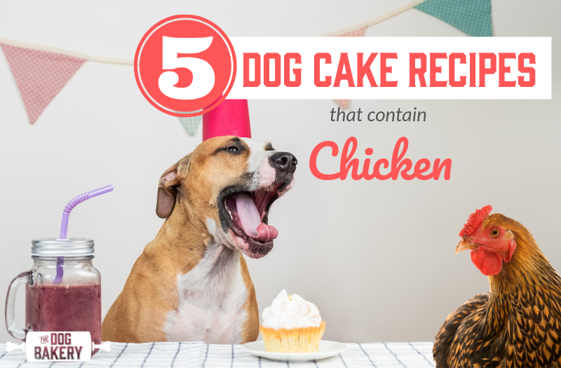 5 Dog Cake Recipes With Chicken