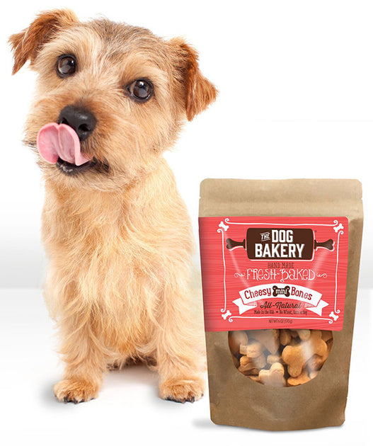 Holistic Dog Foods Because We Love Them The Dog Bakery