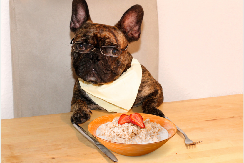 can dogs eat oatmeal?
