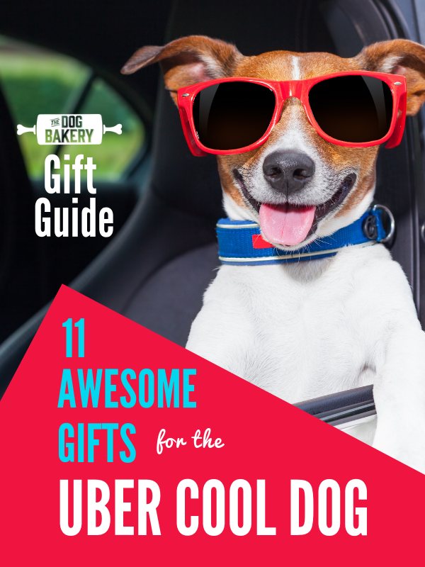 Gift Guide: 11 Awesome Birthday Gifts For Uber Cool Dogs.