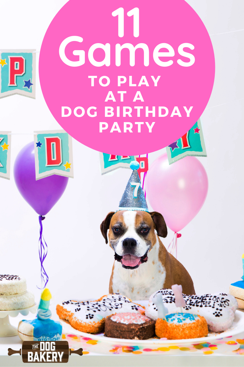 11 Doggie Birthday Party Game Ideas