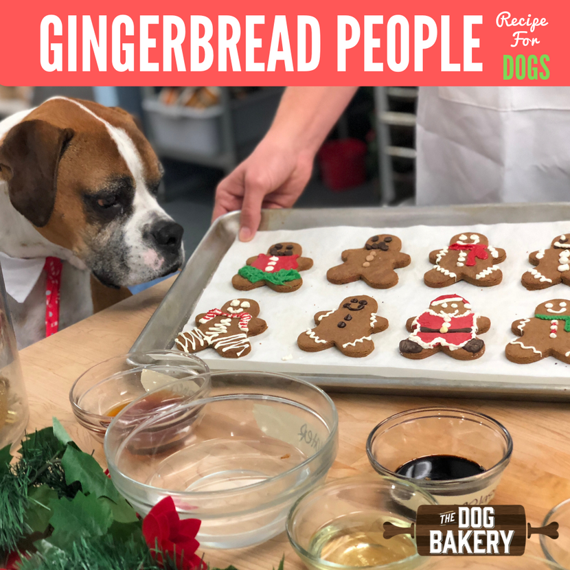gingerbread people recipe for dogs making cookies for your dog
