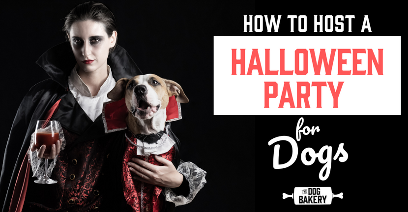 How To Host A Halloween Party For Dogs