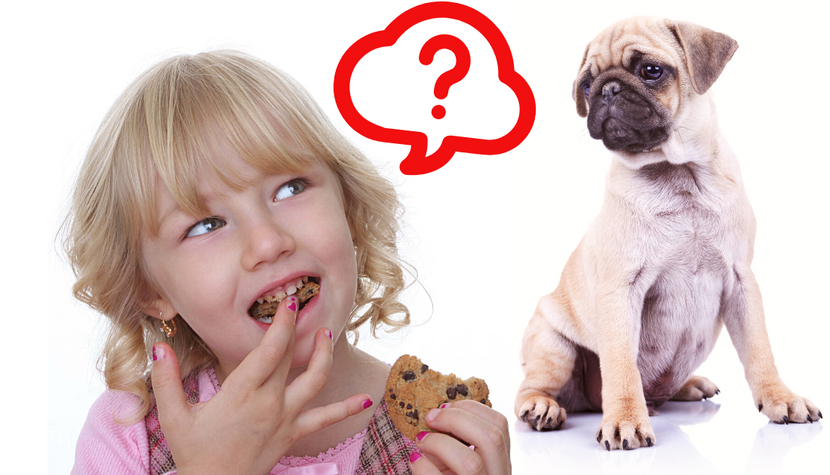 Is it Okay to Share a Cookie with Your Dog?