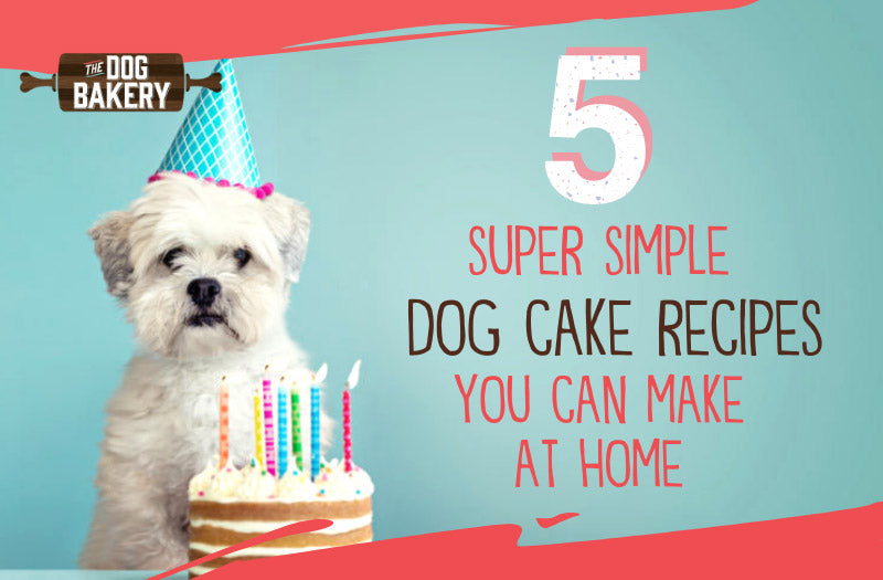 Super Simple Dog Cake Recipes