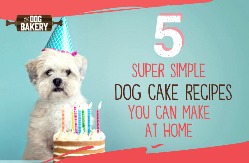 Super Simple Dog Cake Recipes