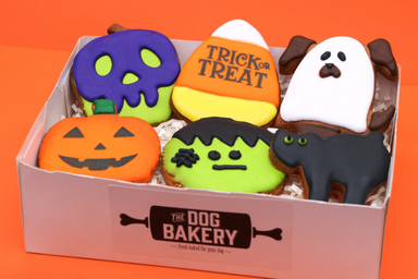 Halloween Dog Cookies