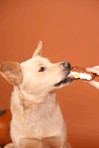 Baked Potato Twinkie