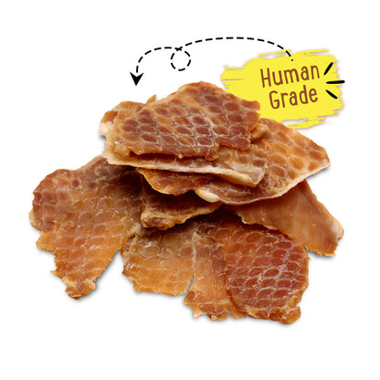 Premium Pork Jerky