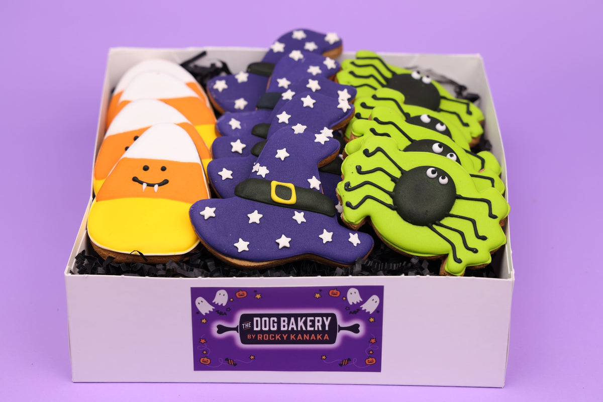 Halloween Cookies for Dogs